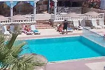 Dolphin 2*